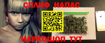 индика Краснознаменск